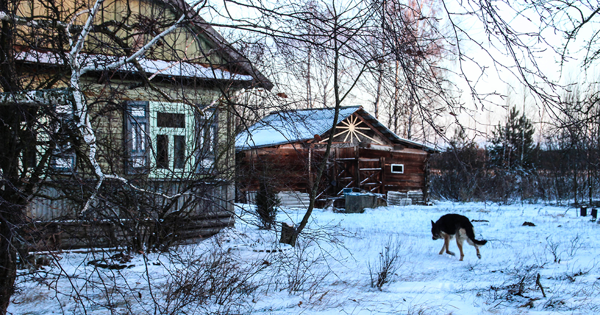 Деревенская родня. Наглая родня деревня.