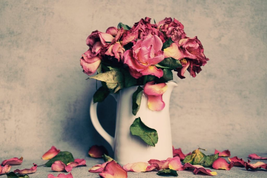 Почему вянут розы в вазе. Ваза с цветами. Держит розу. Faded Flowers. Dried Roses Bouquet.